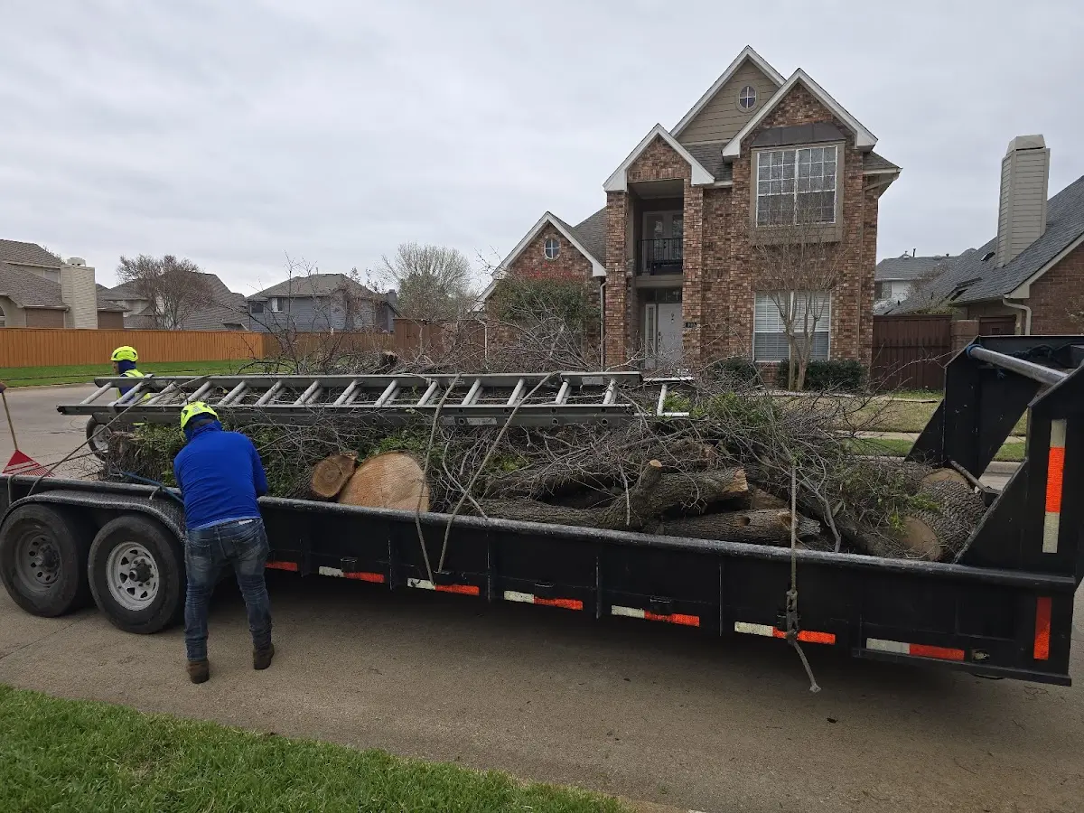 Expert Tree Removal with proper safety equipment in La Crosse